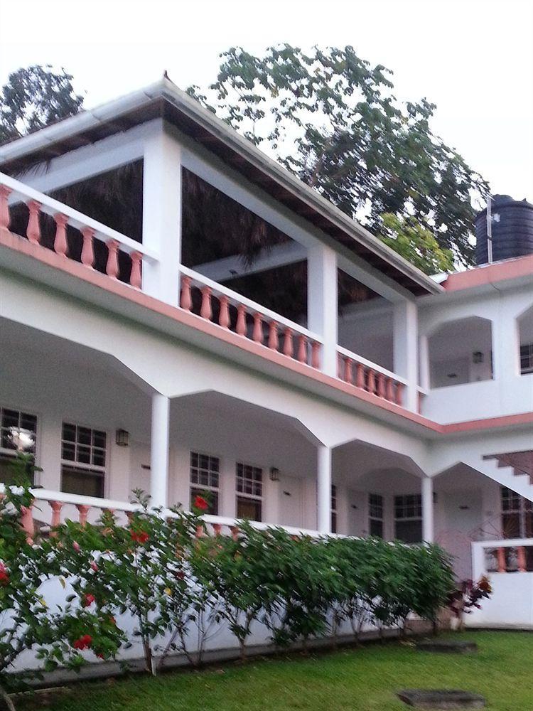 Polish Princess Guest House Port Antonio Ngoại thất bức ảnh