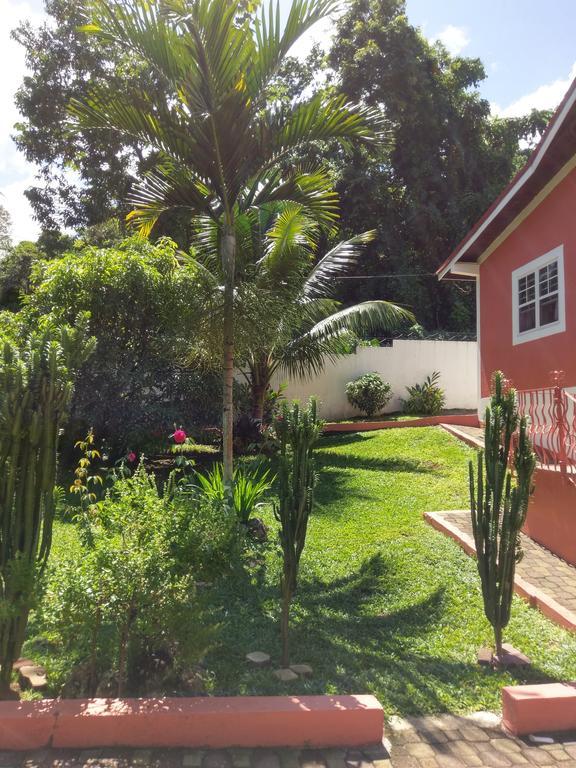 Polish Princess Guest House Port Antonio Ngoại thất bức ảnh