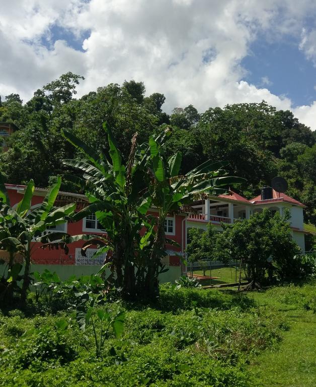 Polish Princess Guest House Port Antonio Ngoại thất bức ảnh