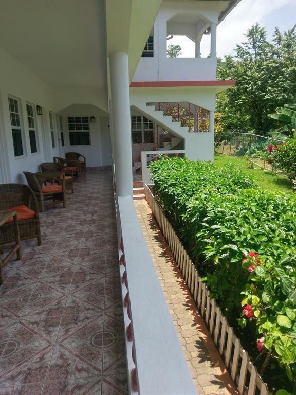 Polish Princess Guest House Port Antonio Ngoại thất bức ảnh