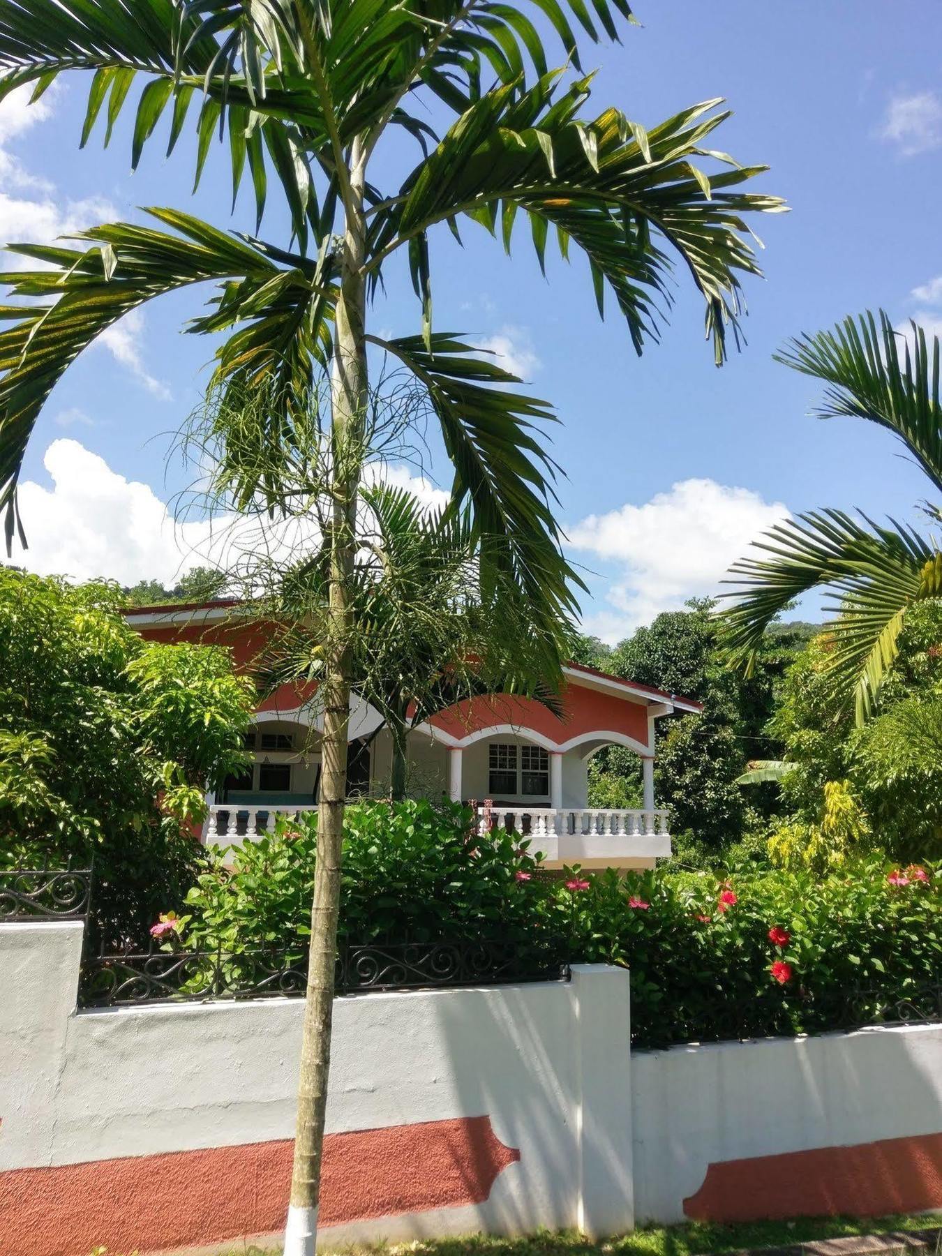 Polish Princess Guest House Port Antonio Ngoại thất bức ảnh