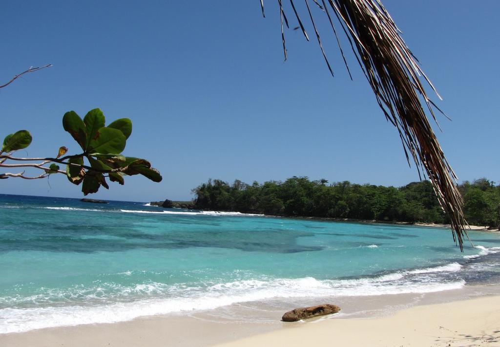 Polish Princess Guest House Port Antonio Ngoại thất bức ảnh