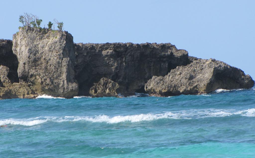Polish Princess Guest House Port Antonio Ngoại thất bức ảnh