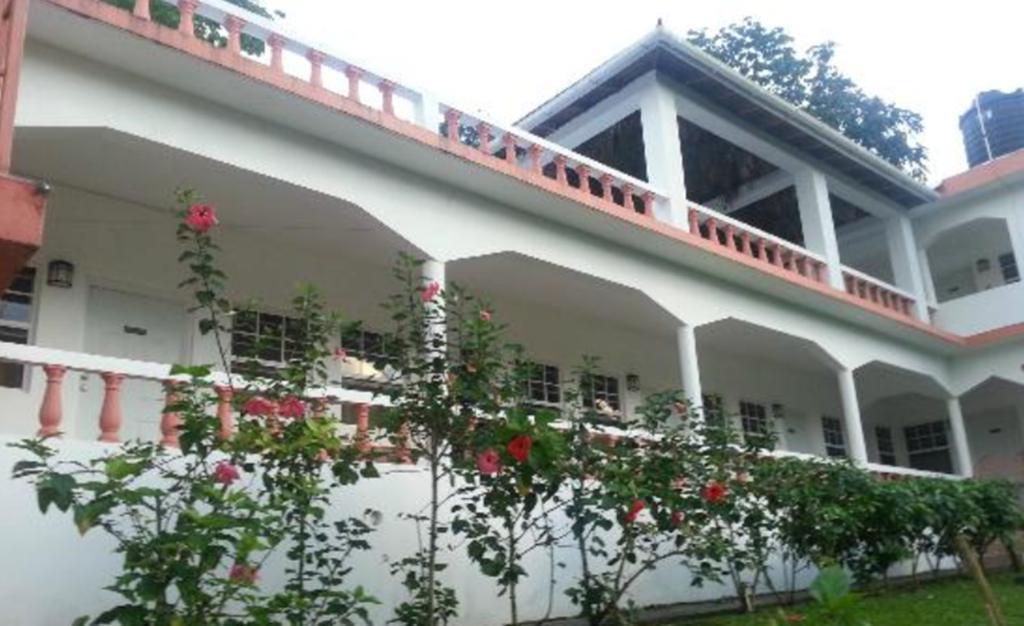 Polish Princess Guest House Port Antonio Ngoại thất bức ảnh