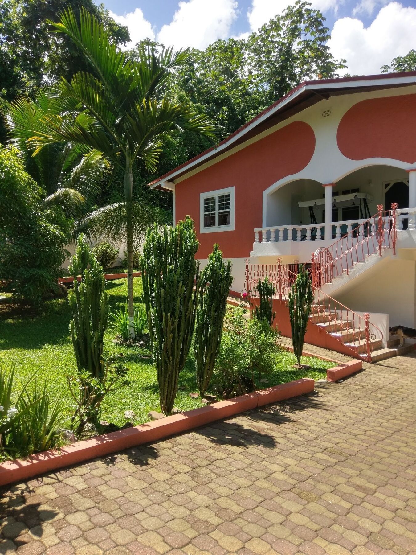Polish Princess Guest House Port Antonio Ngoại thất bức ảnh